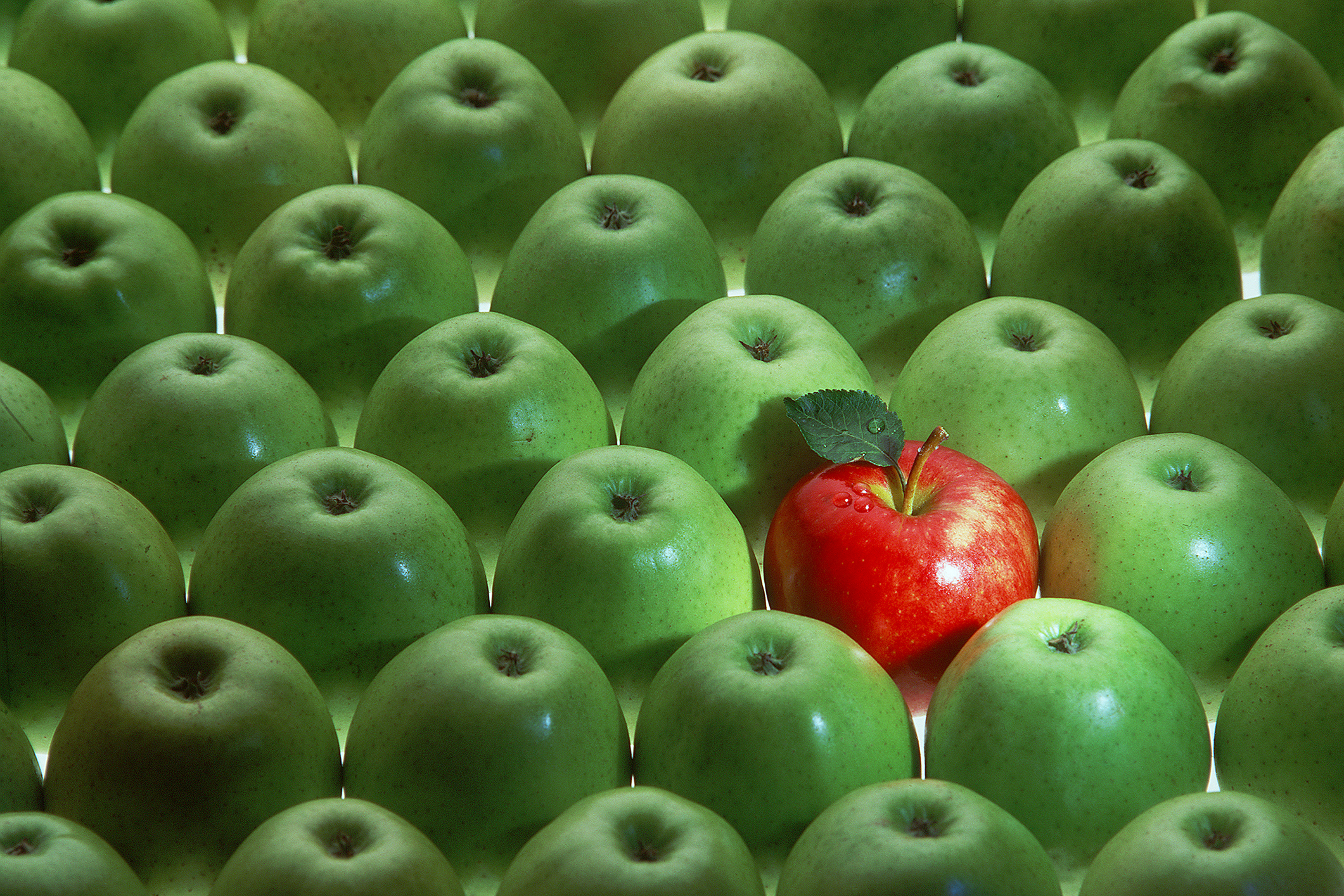 one red apple among many green apples as a symbolfor individuality